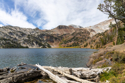 Gazing northwest across the deep azure waters of Ice Lake (7,849 ft) from its log-strewn eastern outlet, the soaring marble-sheathed slopes of the Hurwal Divide and the distant crown of Sacajawea Peak (9,838 ft) frame the massive glacial cirque.