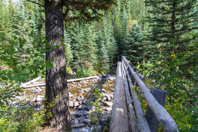 A sturdy single-stringer log bridge with peeled timber railings spans the crystal-clear waters of the West Fork Wallowa River at 5,484 ft.