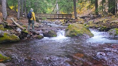Tamanawas Falls Trail