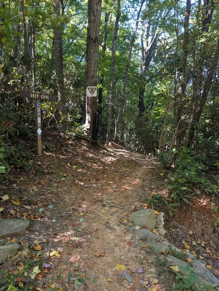 Deep Cove TrailHead