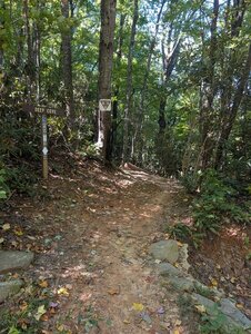 Deep Cove TrailHead