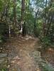 Deep Cove TrailHead