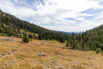 Descending from China Ridge into the upper basin of Cúuy'em Creek at 6,710 ft, the faint tread of Cúuy'em Creek Trail winds through expansive subalpine meadows painted in golden bunchgrass and crimson dwarf huckleberry.