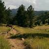 Looking down the Sanitas Valley from the Dakota Ridge Trail