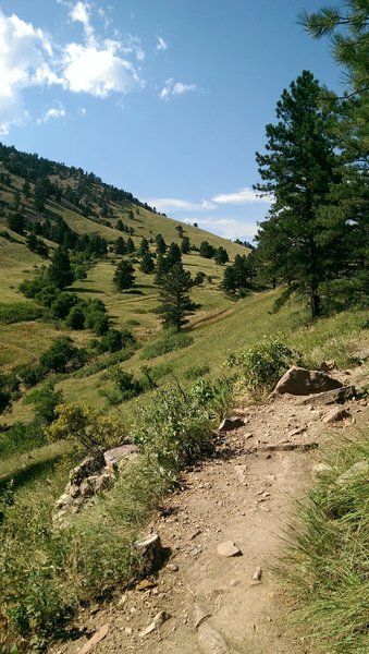 View up-valley from the Dakota Ridge Trail